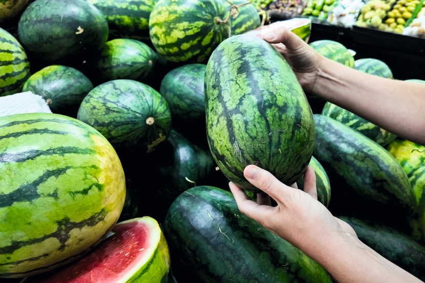 woran-erkennt-man-eine-gute-wassermelone