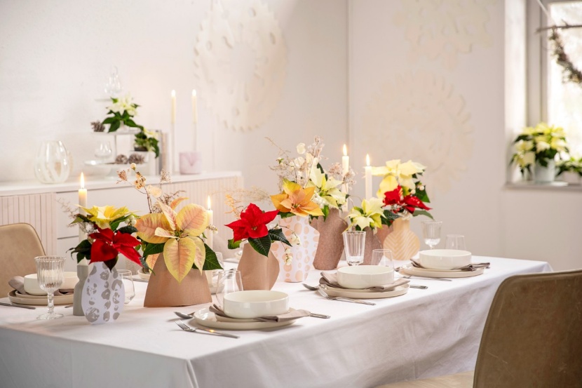 Leuchtende Farben und markante Formen